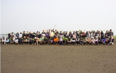 Penanaman Mangrove dalam Rangka Memperingati Hari Bumi oleh Forum Convident (Community of Environmental Health Student) atau Mahasiswa Peminatan Kesehatan Lingkungan FKM Undip 2025